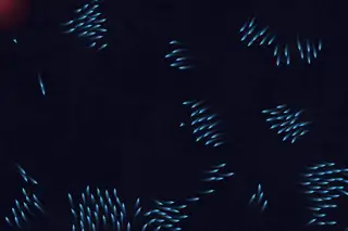 aion-labs/aion-3.0-mini