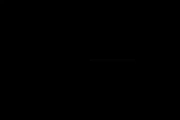 Double pendulum