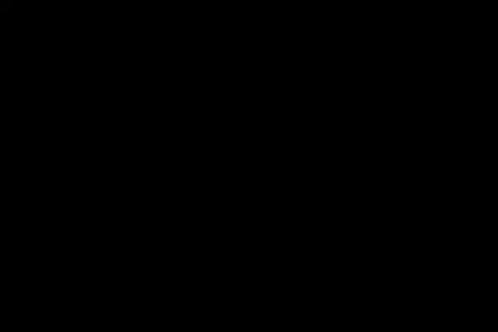 Double pendulum