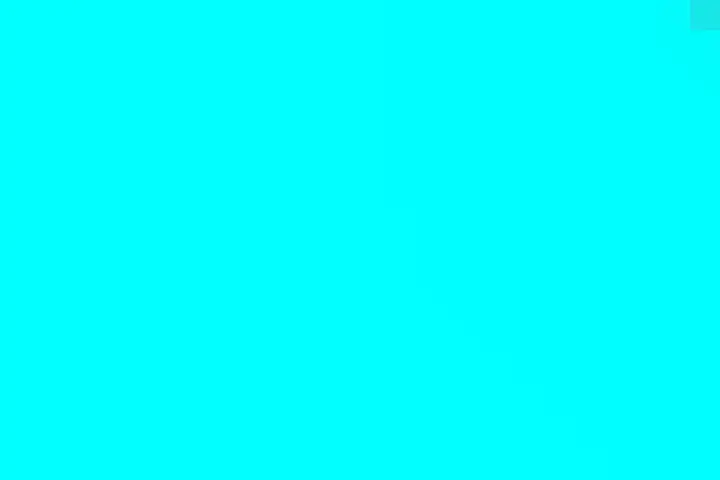 Fluid simulation
