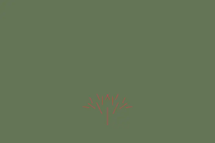 L-system tree