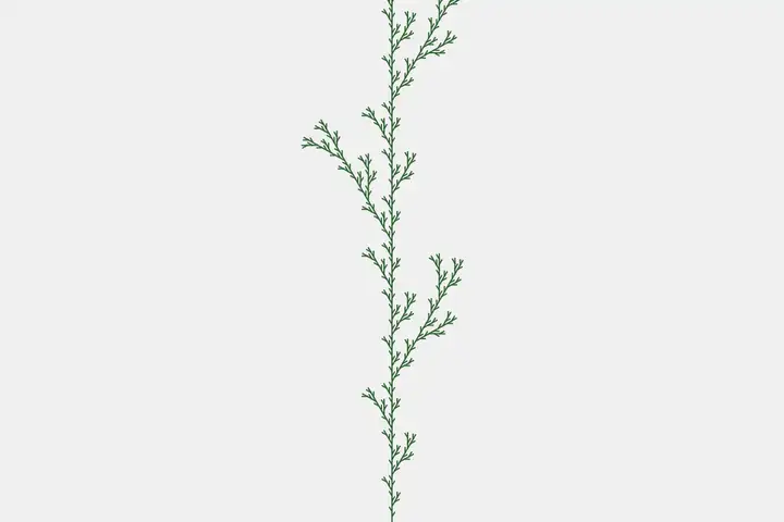 L-system tree
