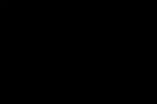 amazon/nova-lite-v1