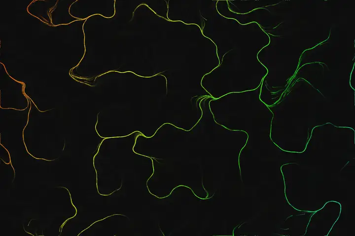 Flow-field particles