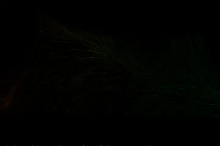 seed-2.0-lite