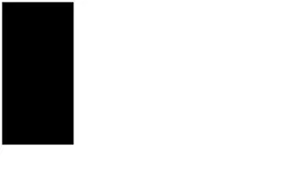 amazon/nova-lite-v1